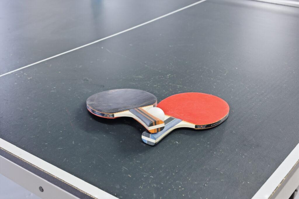 Ping Pong Cresco Poconos